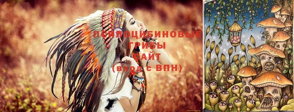 ГАЛЛЮЦИНОГЕННЫЕ ГРИБЫ Навашино